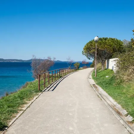 Tara * Zadar